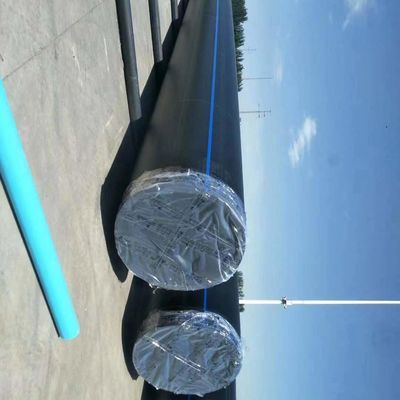 HDPE PE100 baggerbuis met een superieure slagweerstand en stalen flenzen